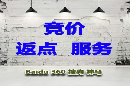 某品牌SEM推广代运营的实践与效果评估